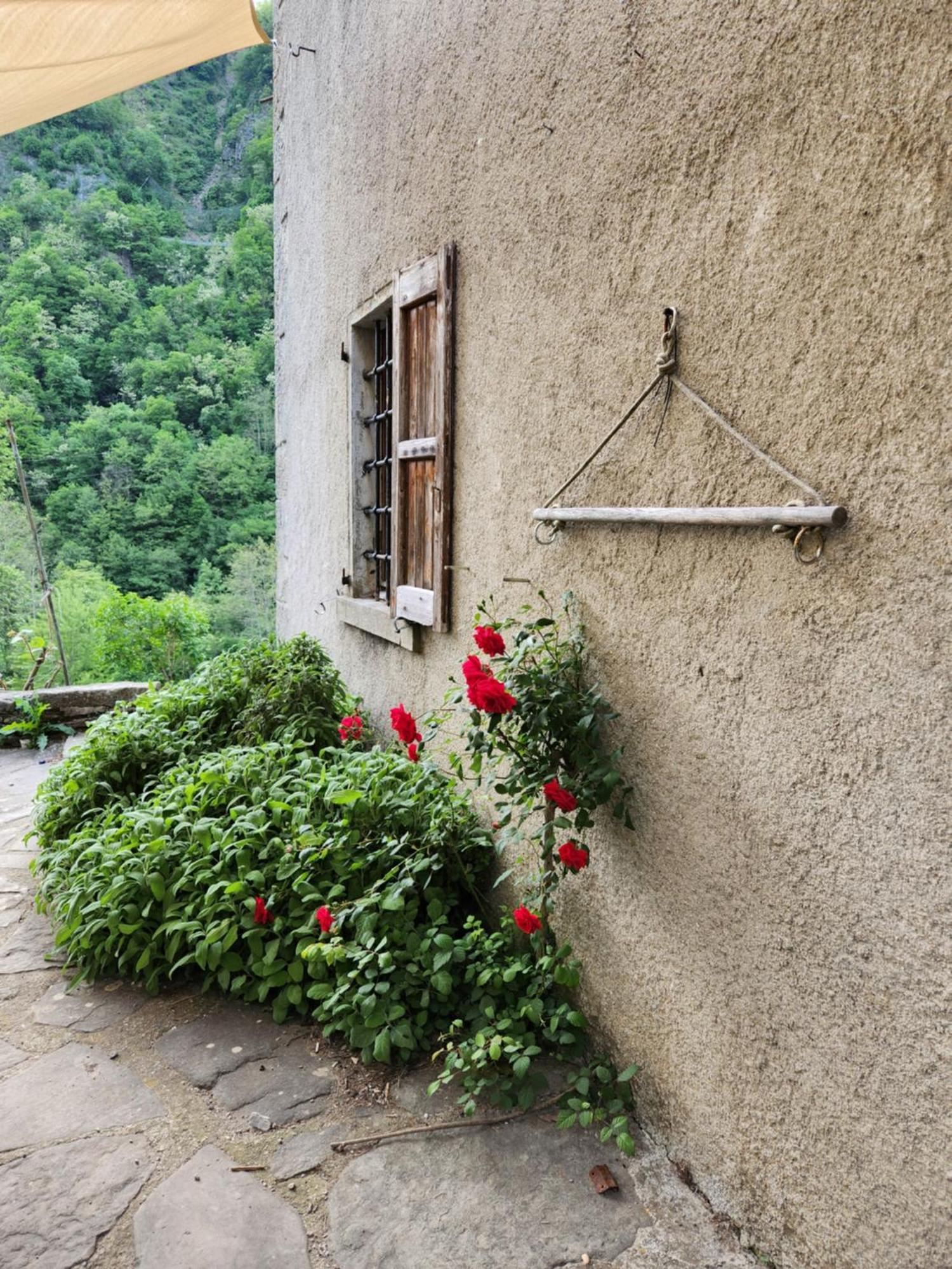 Contea Del Piano Villa Piteglio Kültér fotó