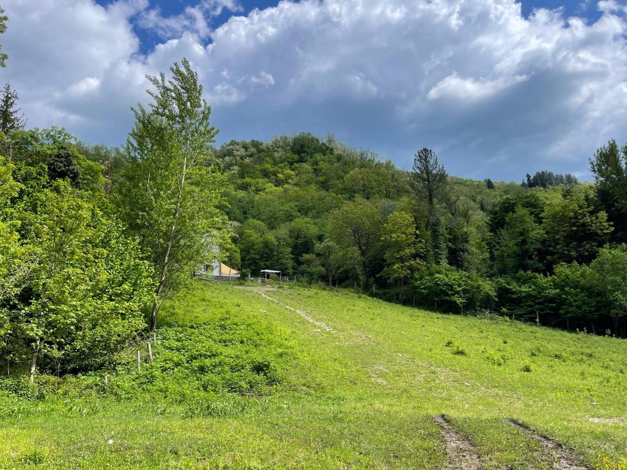 Contea Del Piano Villa Piteglio Kültér fotó